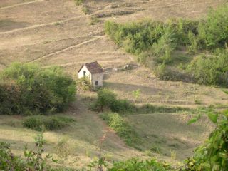 So, what is terroir ? So, what is terroir ?